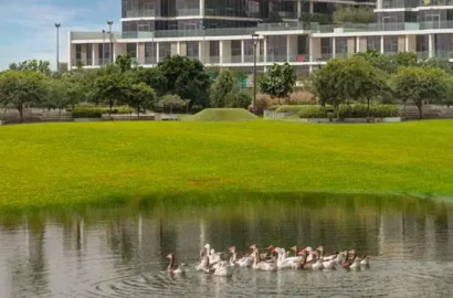Loreto at Damac Hills