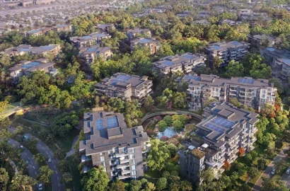 Ghaf Woods by Majid Al Futtaim