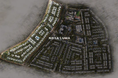 Noya Luma