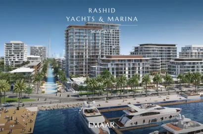 Seagate Mina Rashid