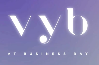 Vyb