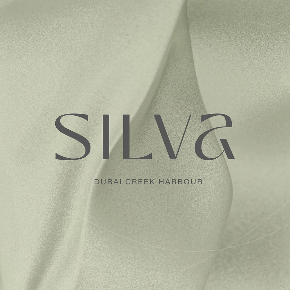 Silva — صورة 2
