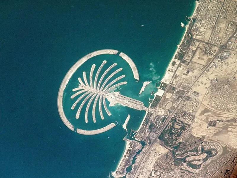 Palm Beach Towers 3 — صورة 3